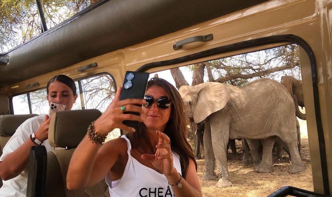 How to Go on a Budget Safari in Tanzania – Best Guide 2026-2027