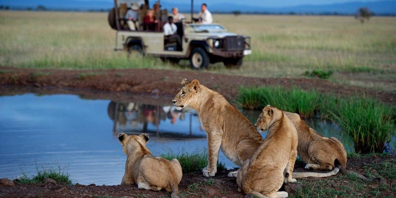 How to Book Tanzania Safari for Couples – Complete Guide 2026-2027