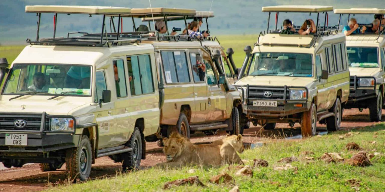 Luxury Safari Operator In Arusha — Top Guide Adventures: Best 2026-2027-2028