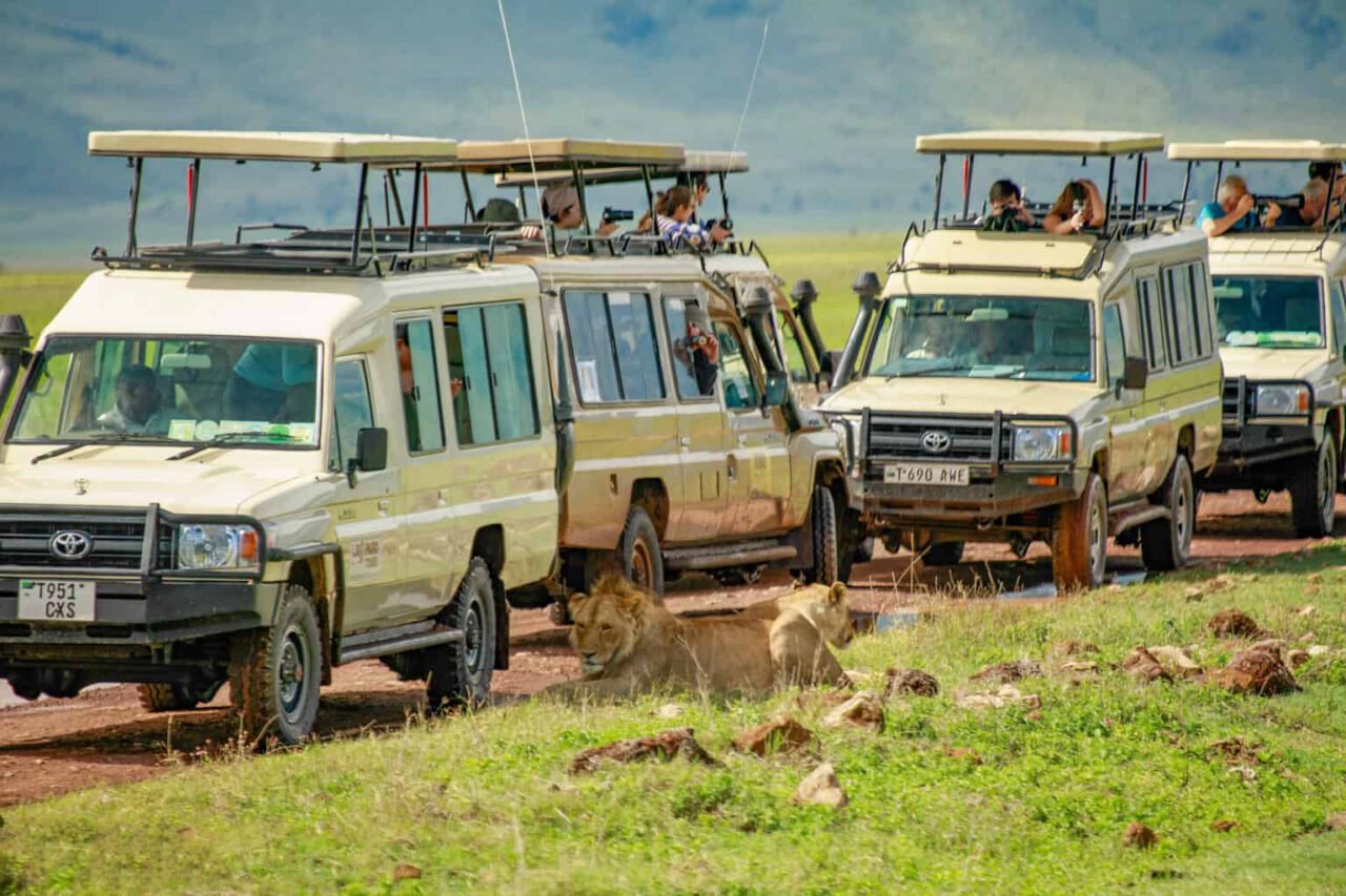 2 Days Lake Manyara And Ngorongoro Safari From Moshi: Best Guide