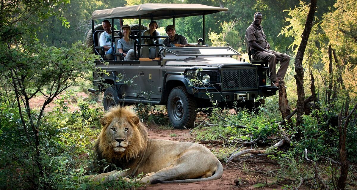 African Safari Honeymoon: Your Essential Planning Guide