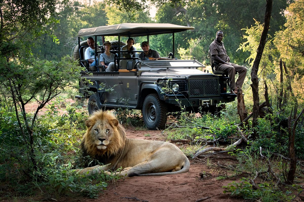 Private Fly-In Safari To Selous Game Reserve: Your Ultimate Guide 2026-2027