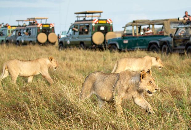 Africa 3 Week Itinerary: Your Best Guide