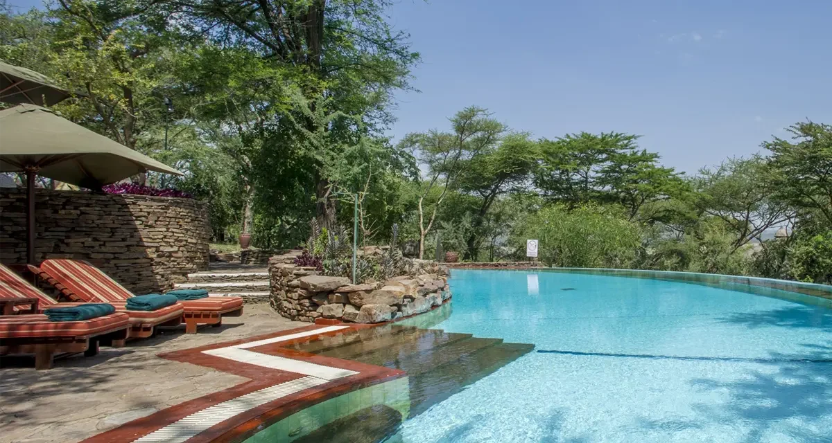 Best Romantic Safari Company Tanzania — Top Guide Adventures: 2026-2027-2028
