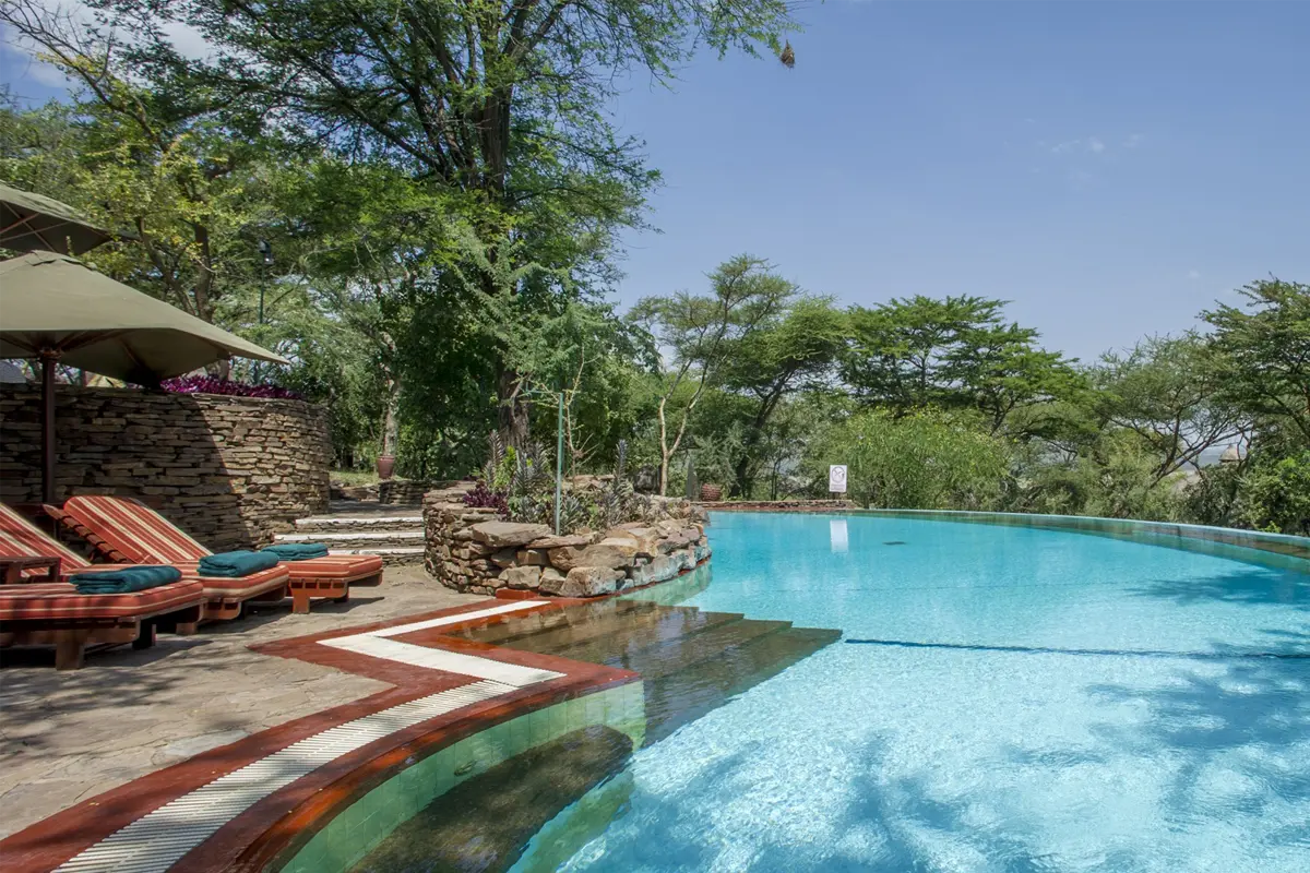 Best Romantic Safari Company Tanzania — Top Guide Adventures: 2026-2027-2028