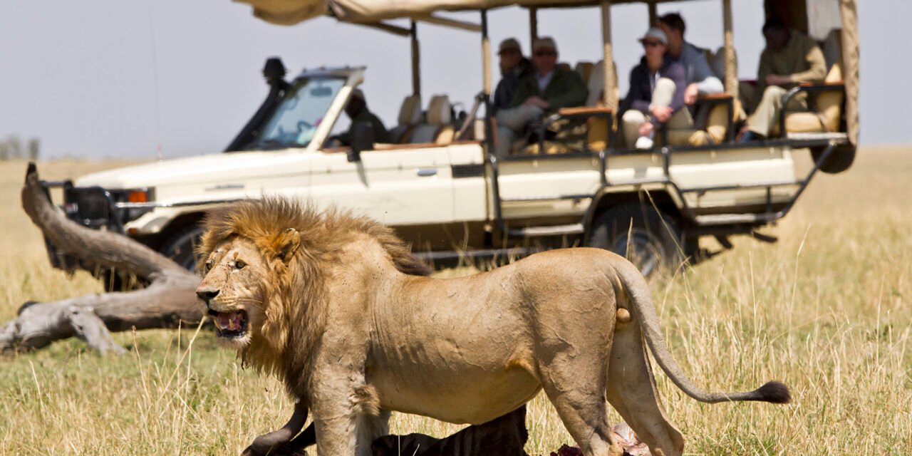 All in one, Tanzania Sharing Safaris from Moshi, Best Shared Tours 2026-2027