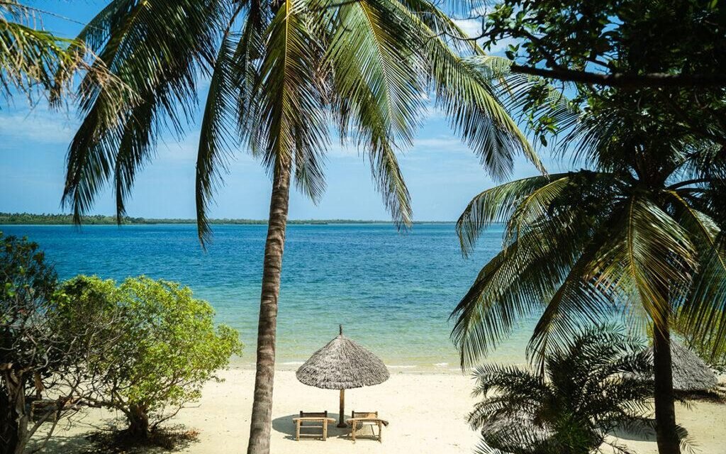 Unforgettable Mafia Island Trip From Zanzibar: Your Ultimate Guide 2026-2027