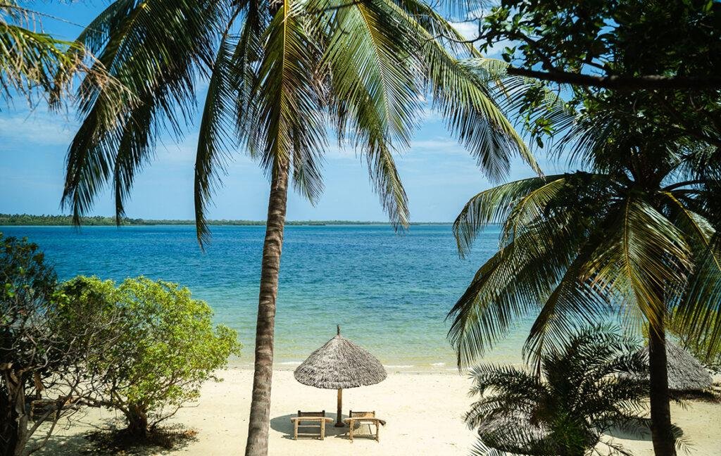 Unforgettable Mafia Island Trip From Zanzibar: Your Ultimate Guide 2026-2027