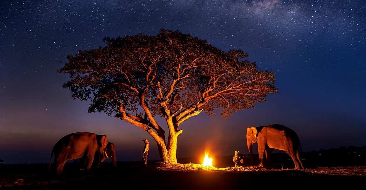 Best Tanzania Travel Agency For Custom Safari Trips Guide