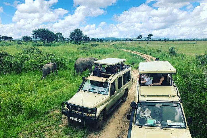 Kigosi Game Reserve: Tanzania's Untamed Wilderness & Safari Guide