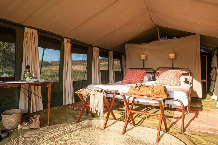 Best Tanzania Safari Companies: How To Choose A Tour Operator: Guide
