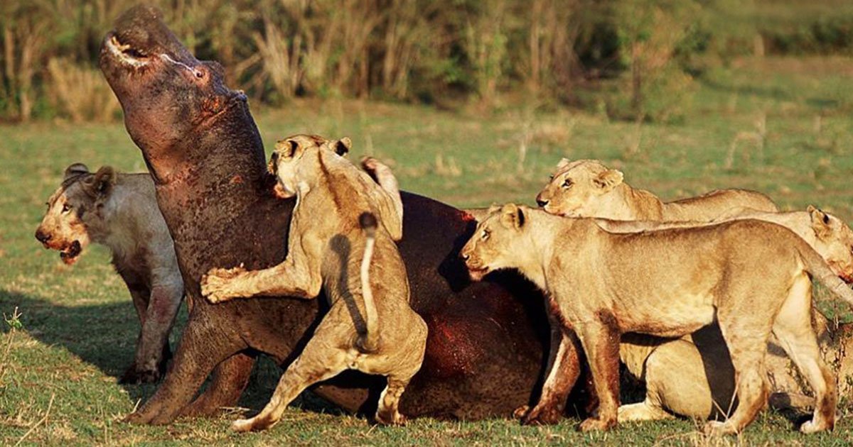 How To Plan A Tanzania Trip Without Stress: Complete Guide