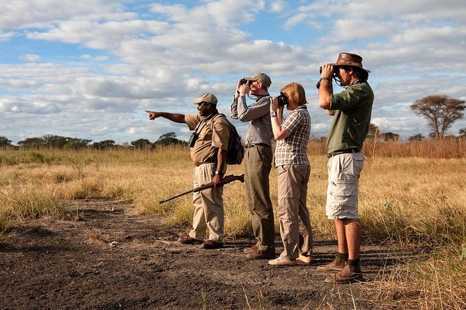 Serengeti In January: Calving Season Safari Guide: Best