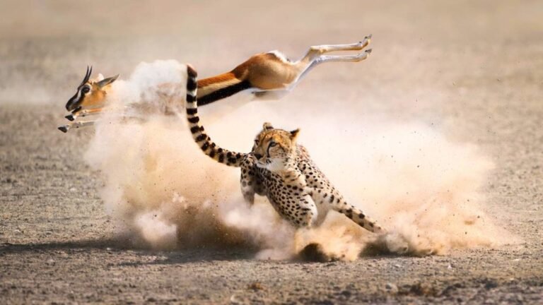 Group Joining Safari from Zanzibar to Serengeti 2026-2027