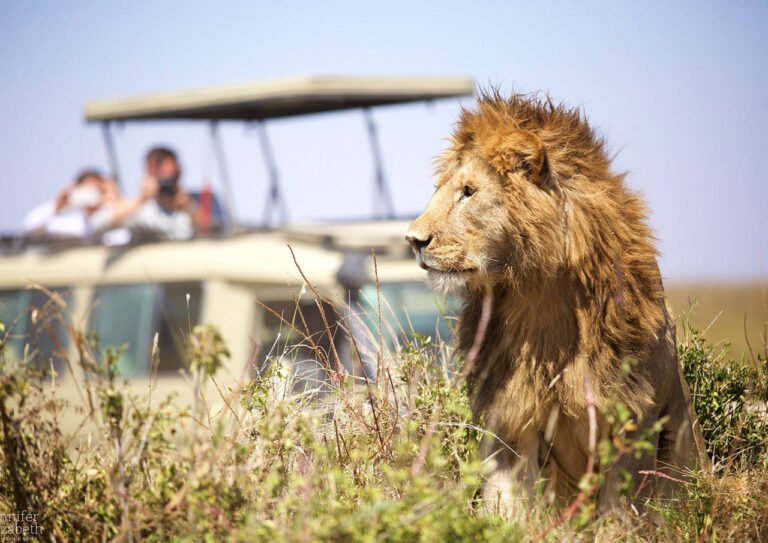 Affordable Safari from Zanzibar to Serengeti 2026-2027
