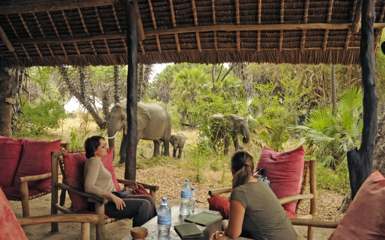 Best Places To Visit In Tanzania: Complete Travel Guide: