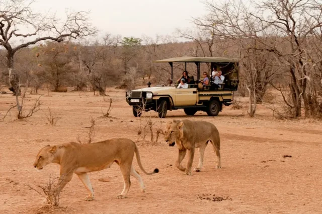 Tanzania Safari Cost – Best Guide 2026-2027