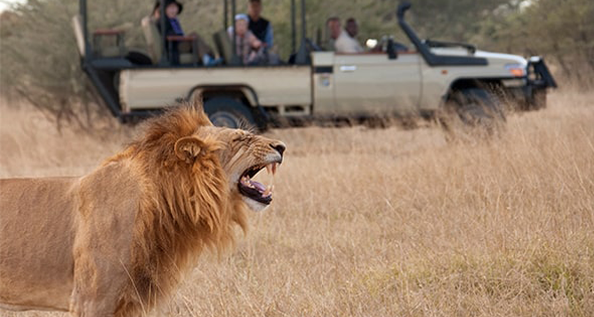How to Book a Safari in Tanzania – Best Guide 2026-2027