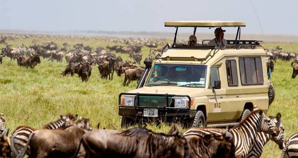 Best Places To Visit In Tanzania: Complete Travel Guide:
