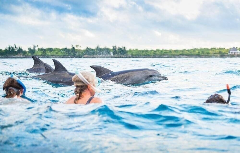 Zanzibar Honeymoon Guide: Your Perfect Island Escape