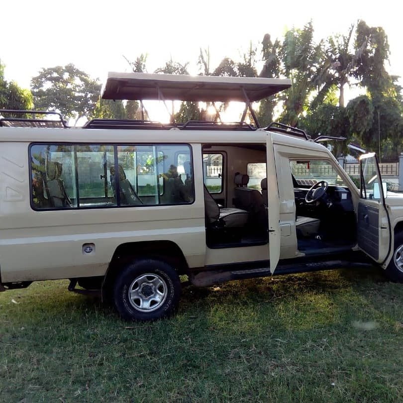5-Day Tailor-Made Primate Tour — Private Transfers & Guide: Luxury Travel