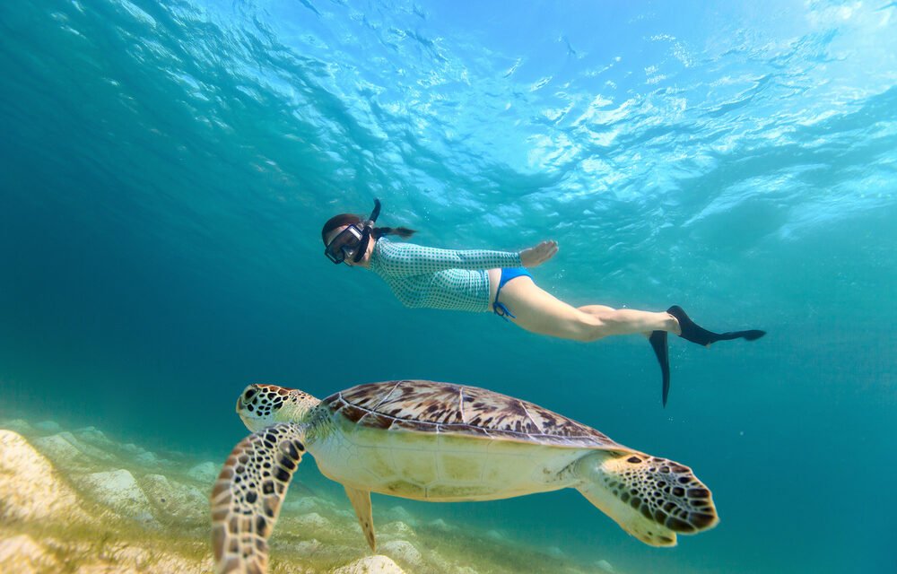 Best Time To Visit Zanzibar: Complete Travel Guide
