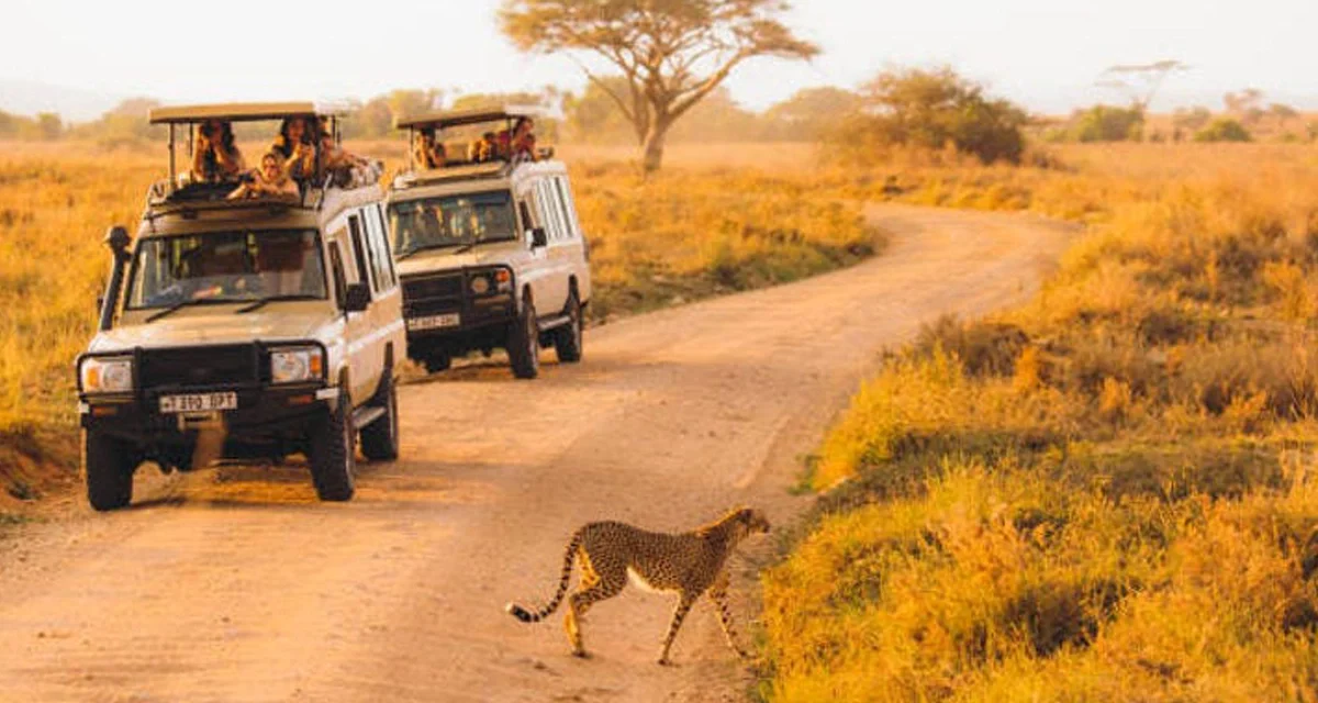 1-Day Tululusia Waterfall Tour: Your Ultimate Tanzania Adventure 2026-2027
