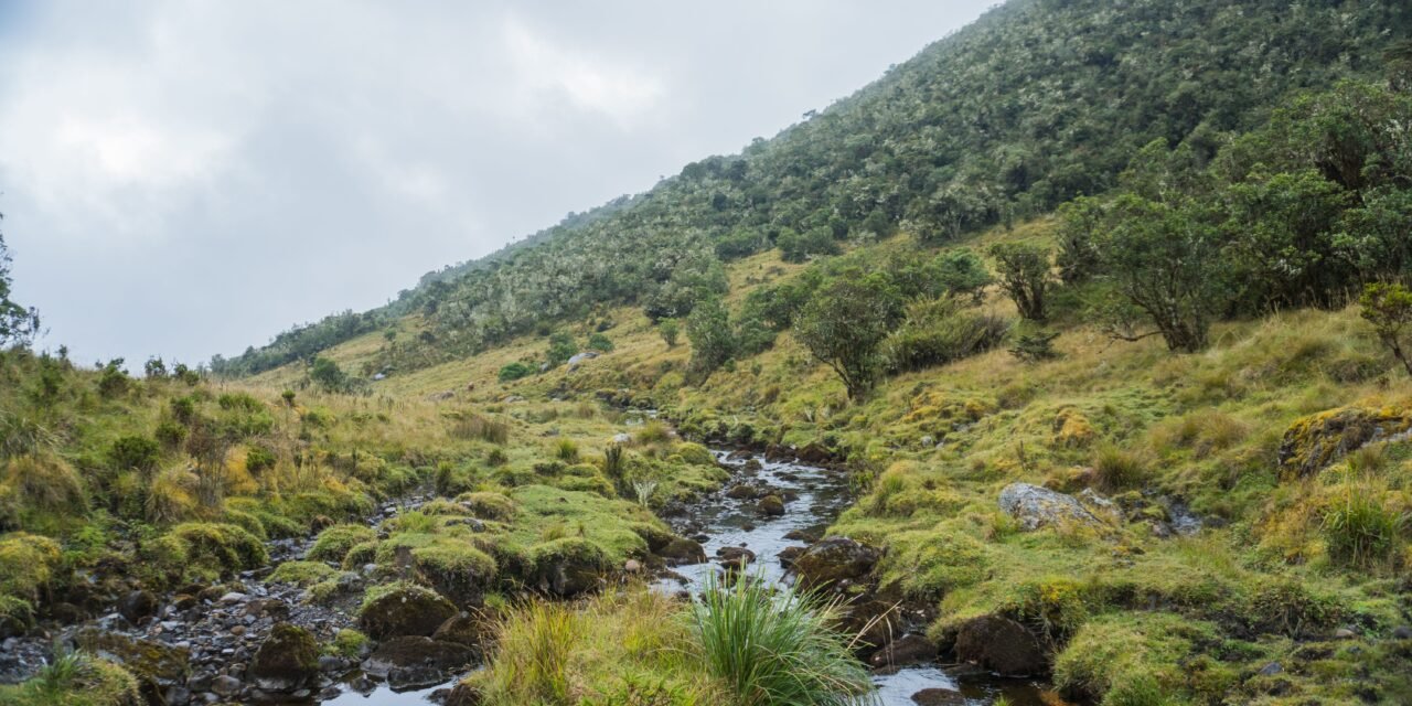 How to Book a Kilimanjaro Hiking Tour in Tanzania – Complete Guide 2026-2027
