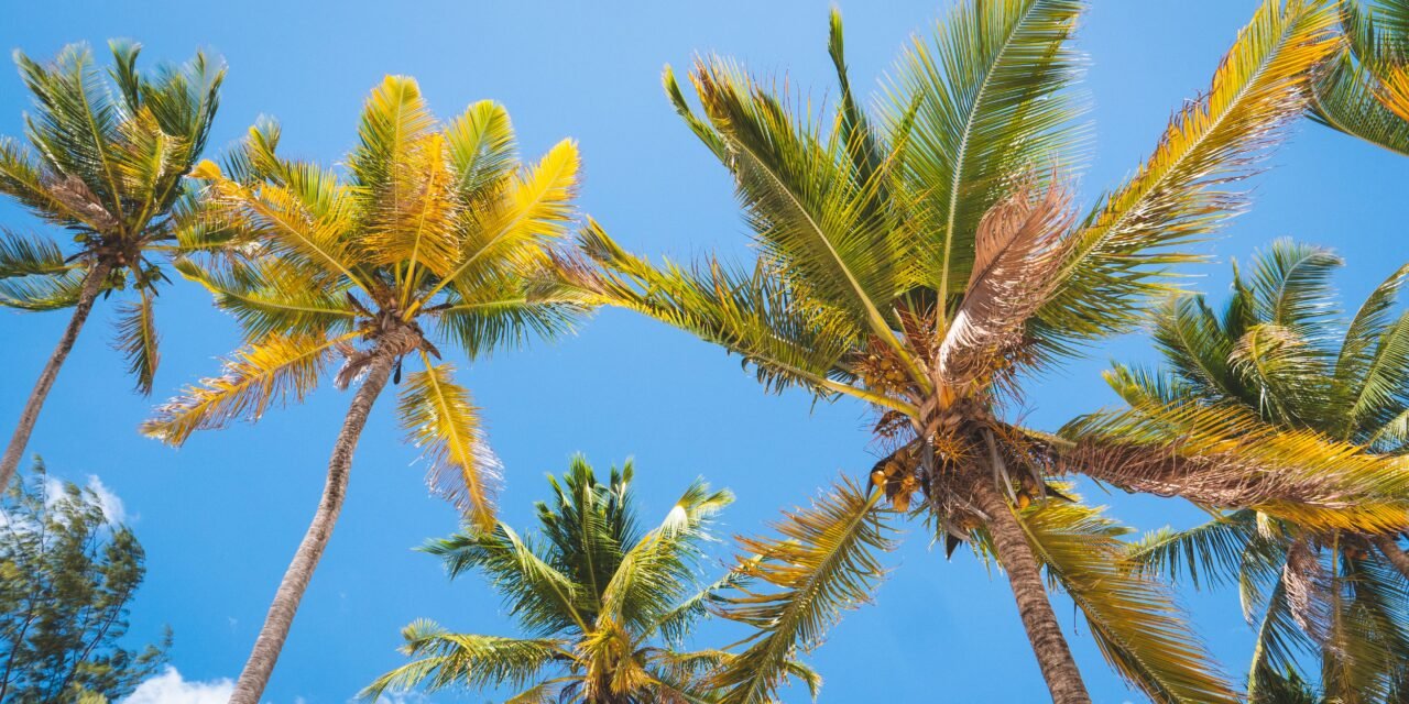 How to Choose Between Zanzibar and Safari First – Complete Guide 2026-2027