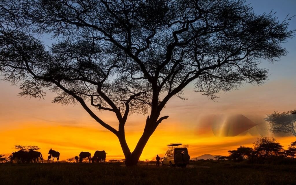 How to Pack for a Tanzania Safari – Complete Guide 2026-2027