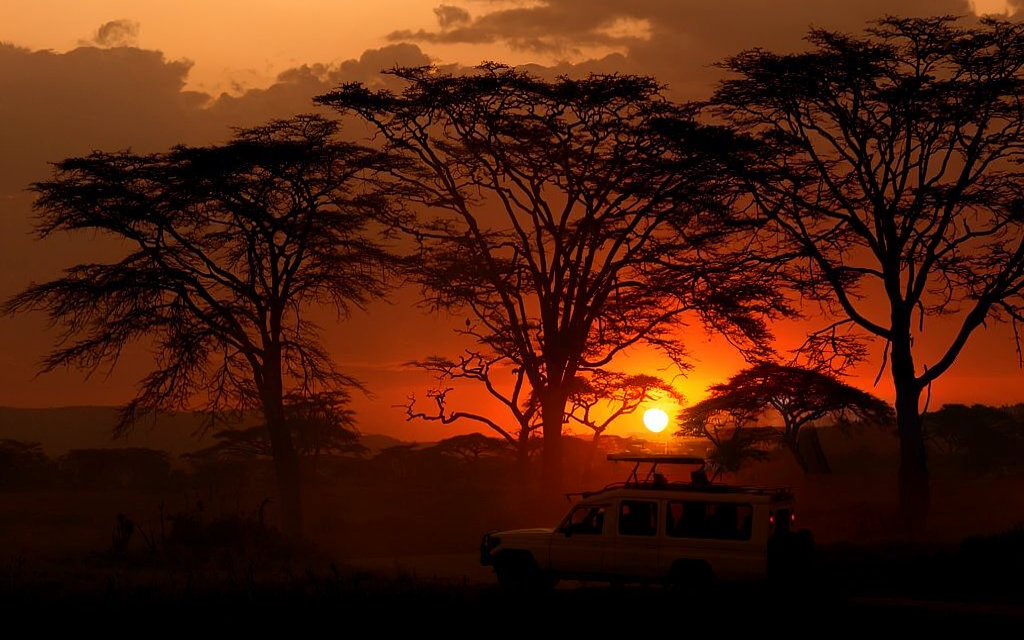 How to Plan Tanzania Safari in Green Season – Complete Guide 2026-2027