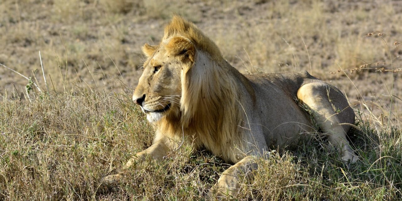Jinsi ya Kutembelea Zanzibar Baada ya Safari – Complete Guide 2026-2027