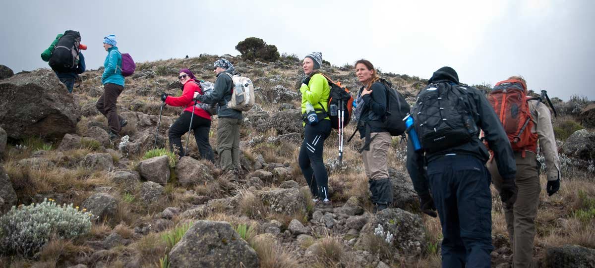 7 Days Machame Route Kilimanjaro Climb Cost + (32–38 Trekking hrs) 2026-2027