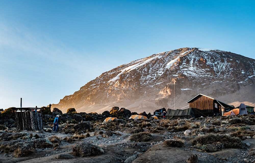 Kilimanjaro Shira Plateau Day Hike From Moshi, Short Trek 2026-2027