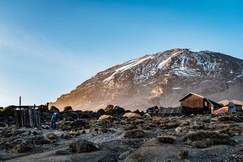Tanzania Safari And Kilimanjaro Climb: Expert Travel Guide