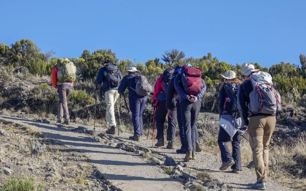 All in One, Best Cheap/Budget Kilimanjaro Trekking Packages 2026-2027