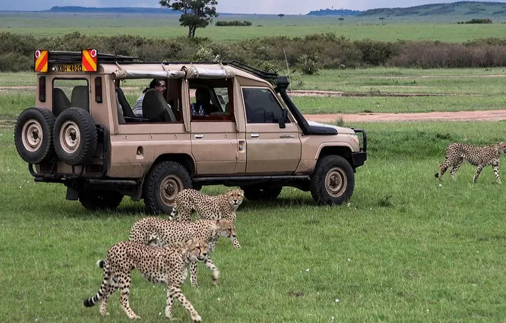 Moshi To Tarangire, Serengeti And Ngorongoro Safari: Best Guide 2026-2027-2028