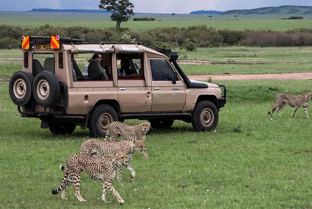 Responsible Tourism In Tanzania: Complete Guide 2026-2027