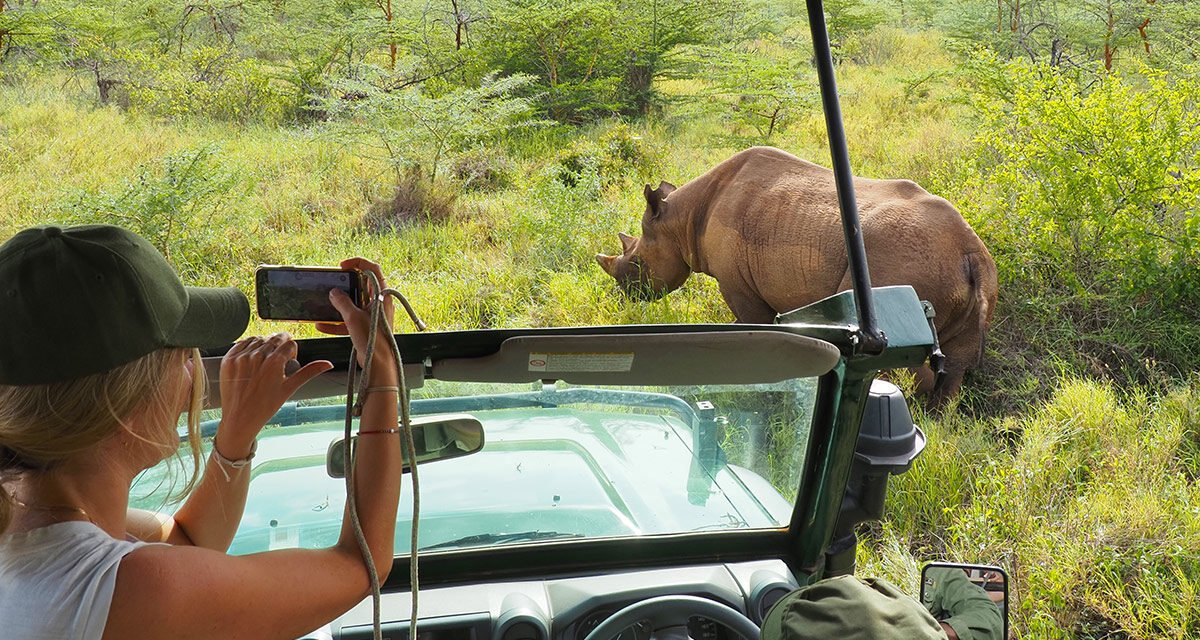 How to Choose Between Private Safari and Group Safari in Tanzania – Complete Guide 2026-2027