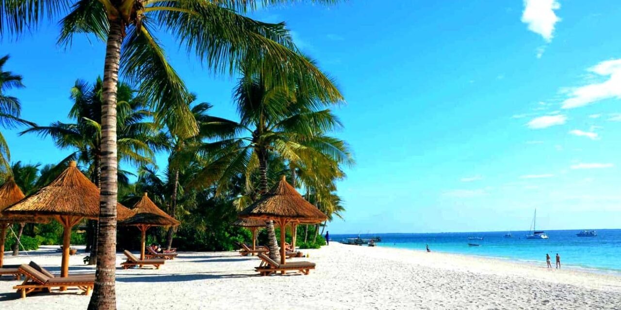 Mnemba Island Tour Guide: Snorkeling And Dolphin Tips Guide