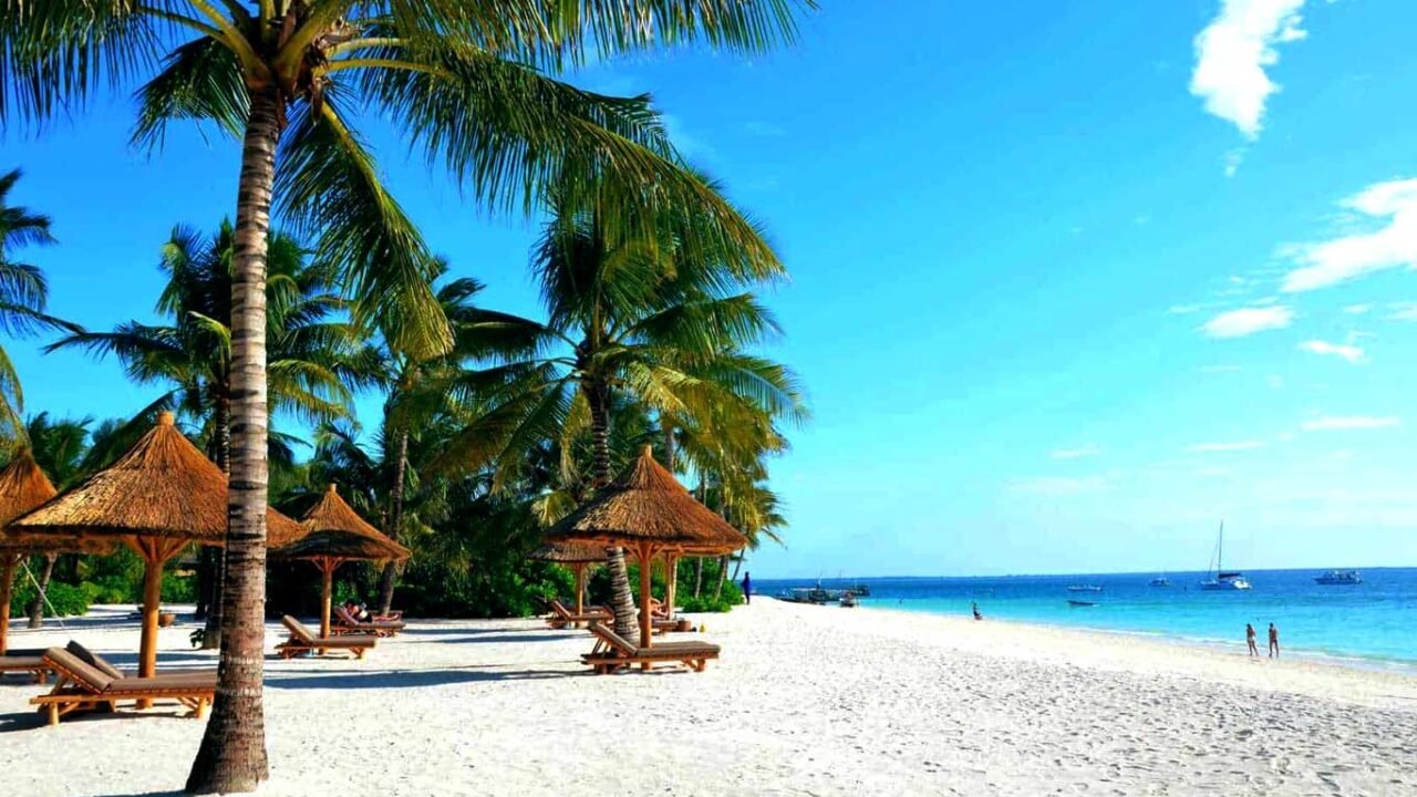 Mnemba Island Tour Guide: Snorkeling And Dolphin Tips Guide