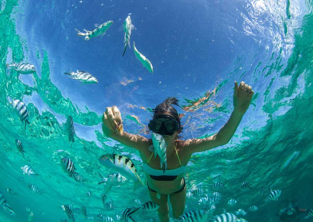 Prison Island and Giant Tortoise Tour Zanzibar: Your Ultimate Guide