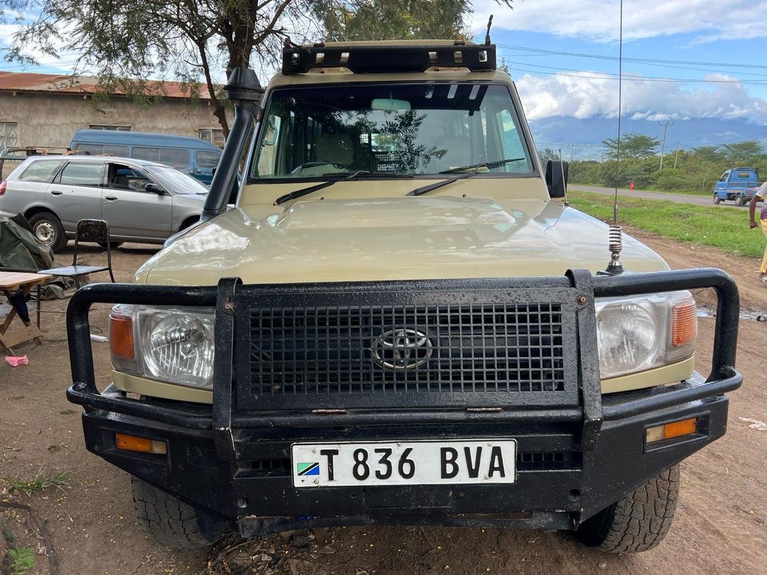 Cheapest Safari In Africa: Expert Planning Guide