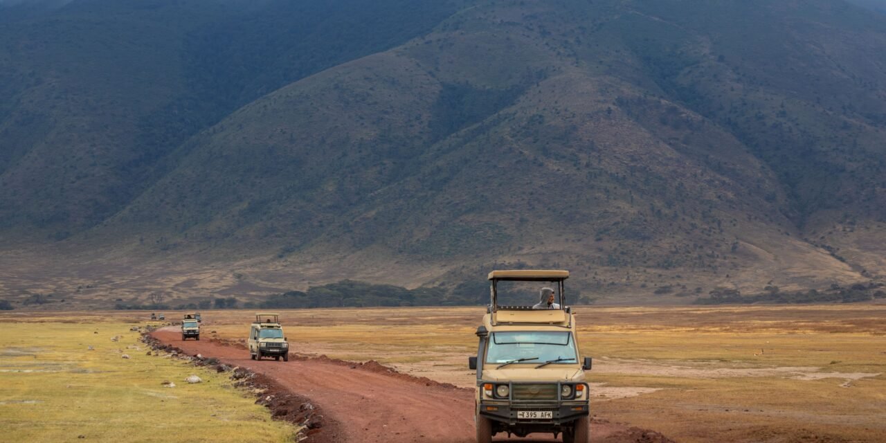 How to Choose Between Road Safari and Fly-In Safari to Serengeti 2026-2027