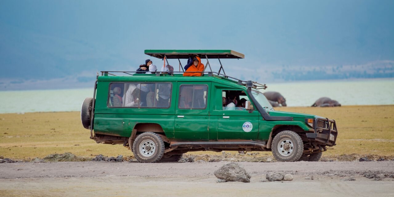 Best Safari For Families Africa: Essential Travel Guide
