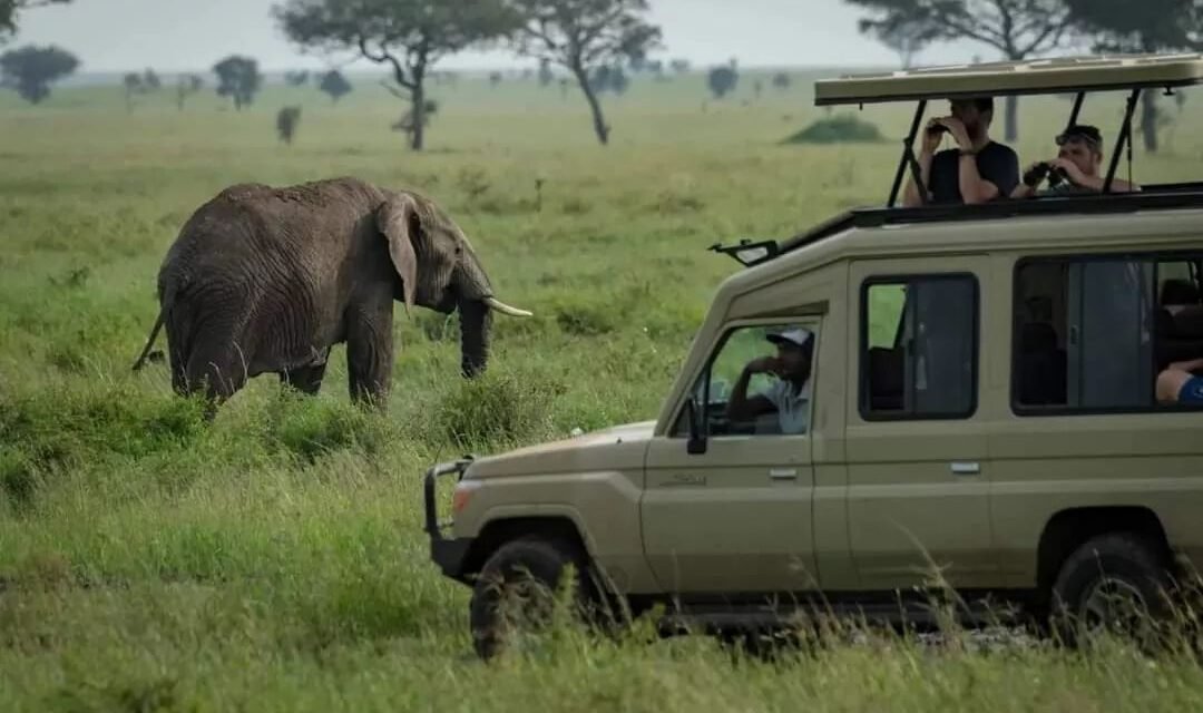 Mozambique Beach Holiday: Complete Travel Guide 2026-2027