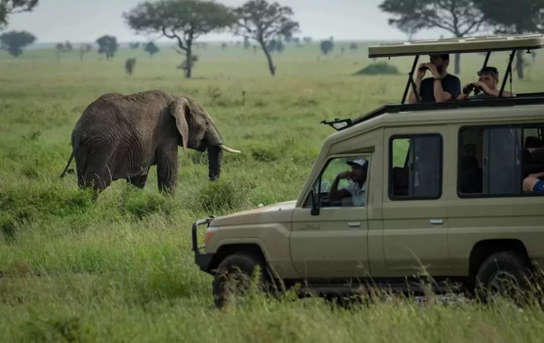 Backpacking Africa: Complete Guide 2026-2027