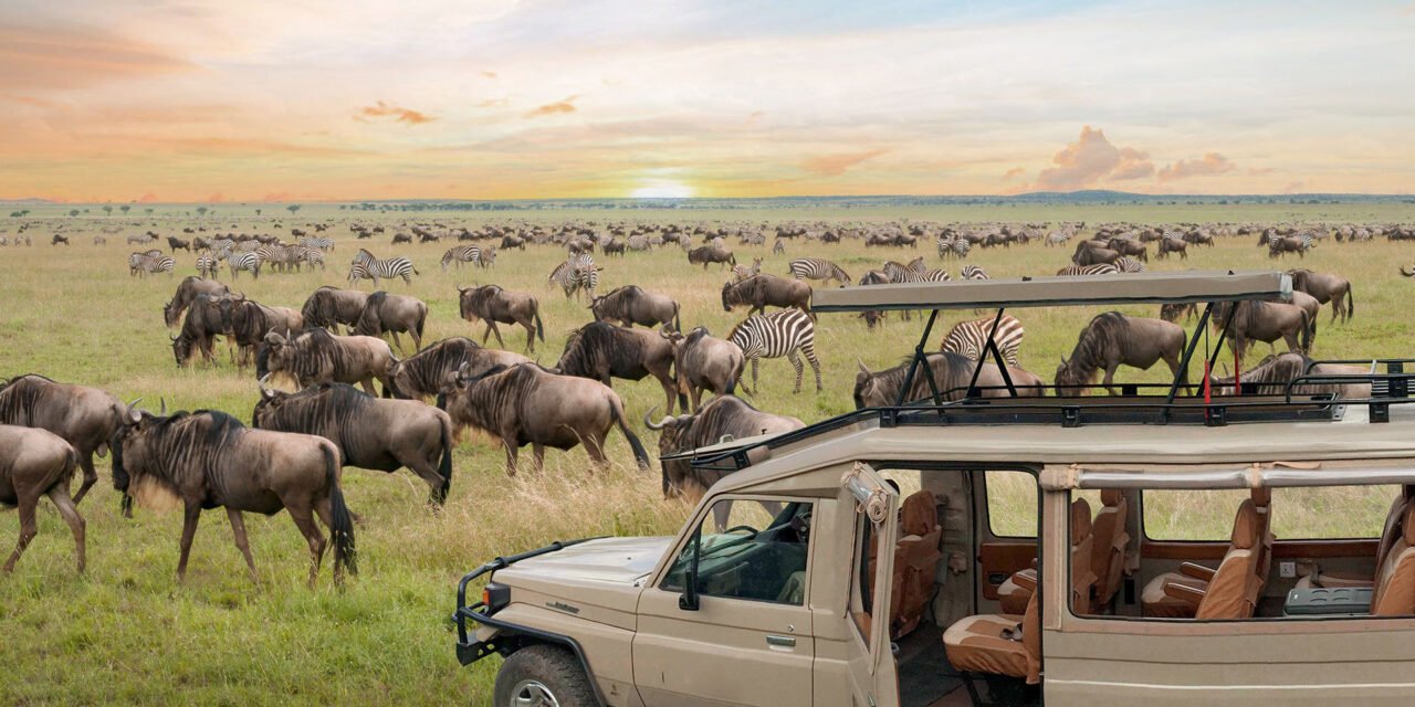 Tanzania Hidden Gems For Families: Complete Guide 2026-2027