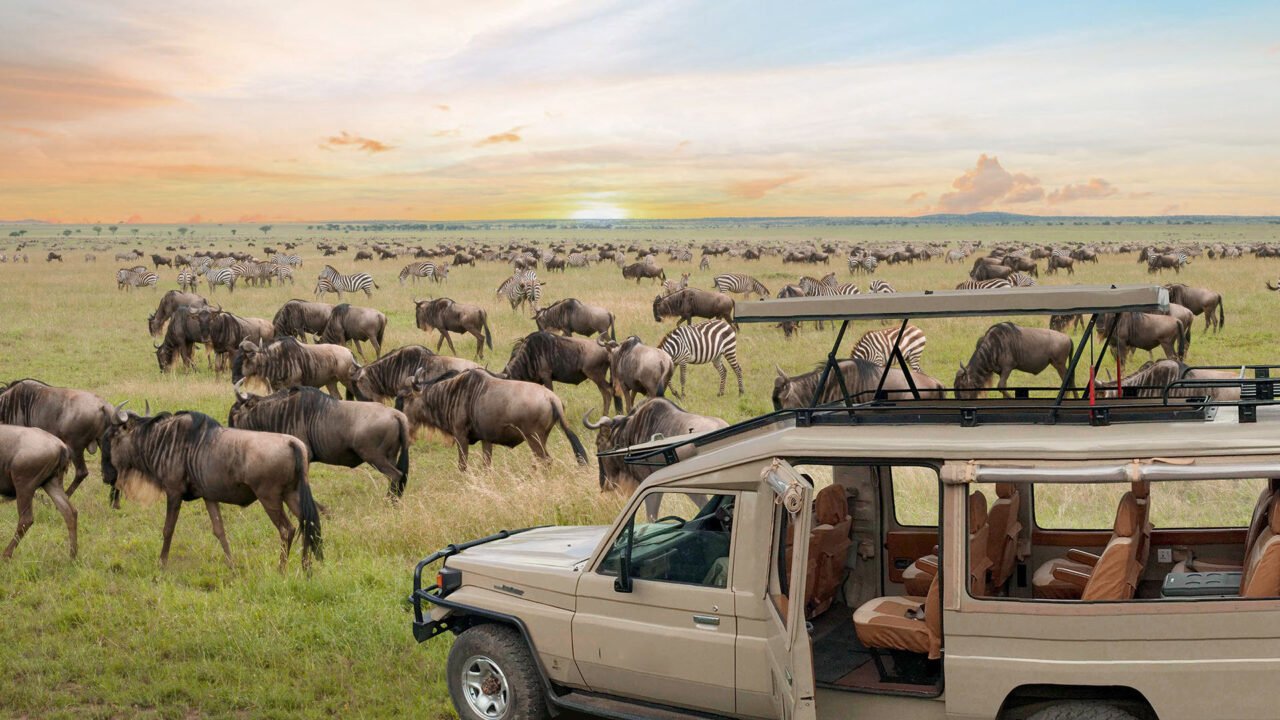 Tanzania Safari From Zambia: Best Guide 2026-2027