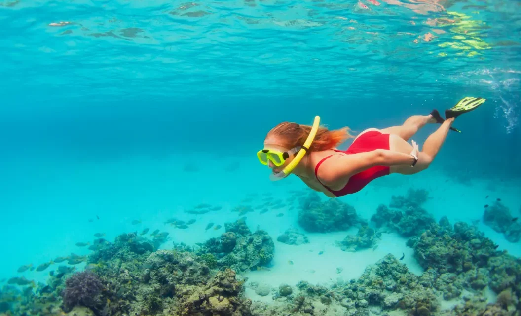 Mafia Island Marine Park Tour From Zanzibar: Your Ultimate Guide 2026-2027